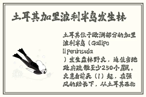 人马Corporatio